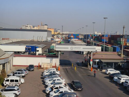 Internet erotik TV dasturi