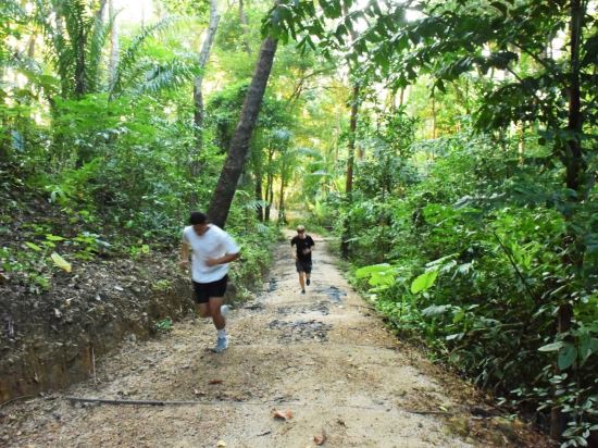 Фото TreeHouse Villas