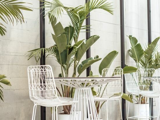 Фото Adelphi Hotel