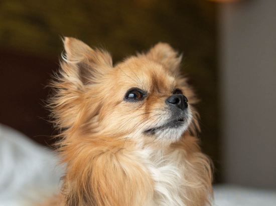 Фото Oceania Paris Porte de Versailles