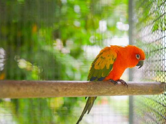 Фото Pinnacle Grand Jomtien Resort