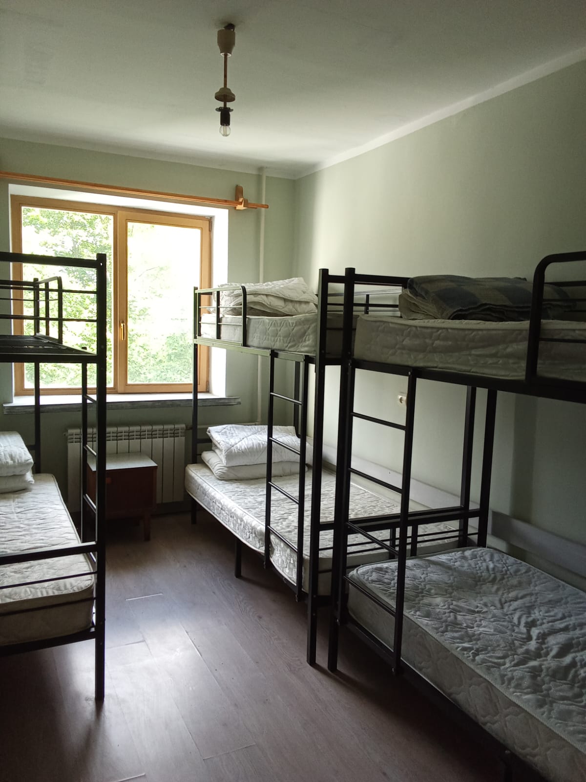 Фото Апартаменты в лесу