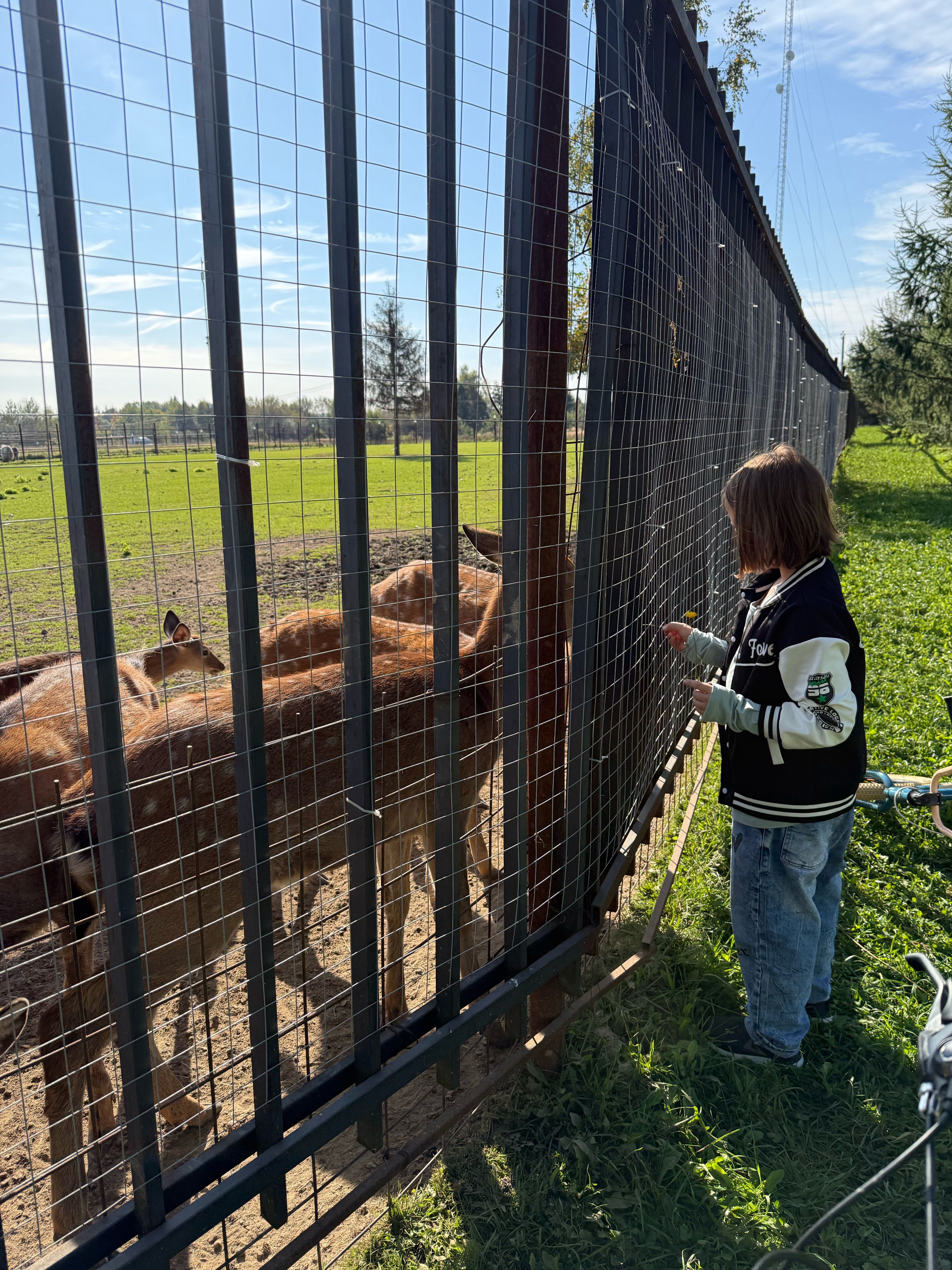 Фото Дом с характером