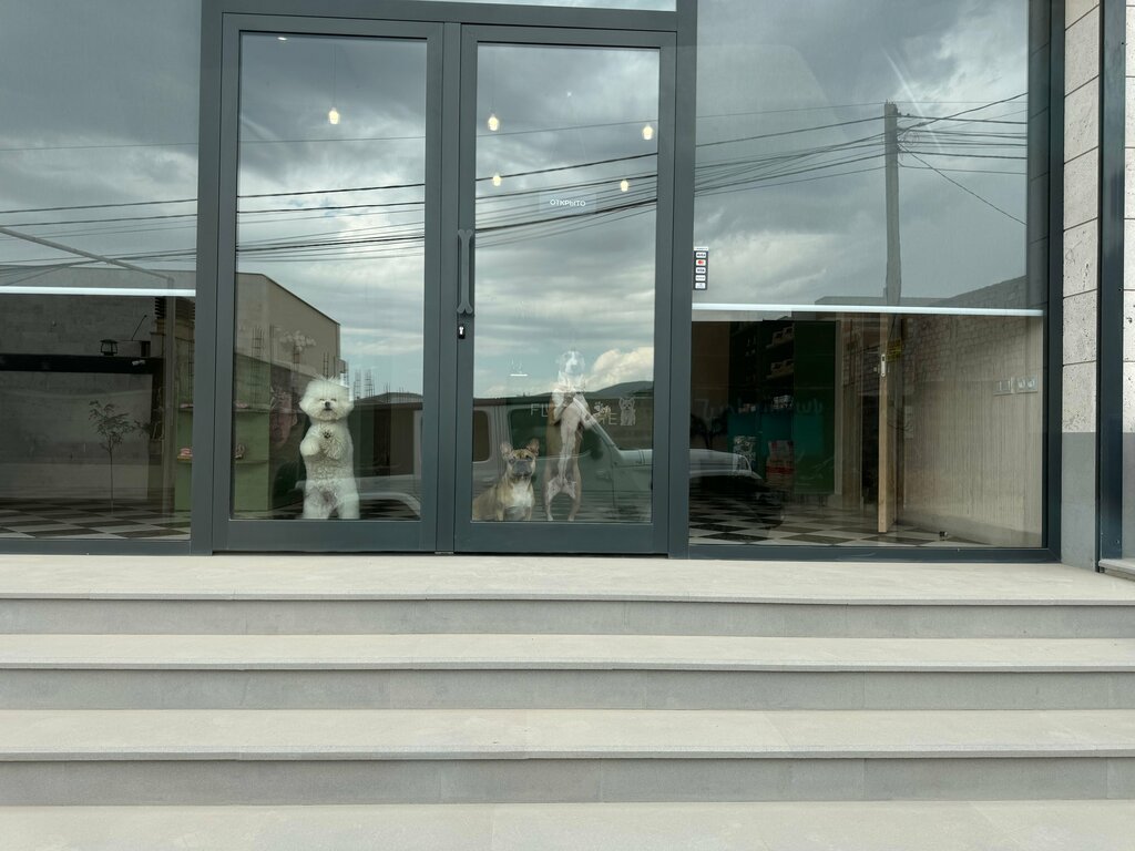 Pet hotel Fluffy home, Kotayk, photo