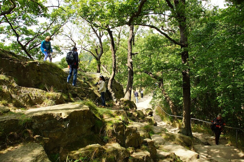 Фото Landhotel & Berggasthof Panorama