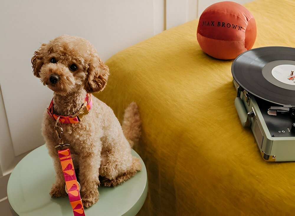 Фото Max Brown Hotel Canal District