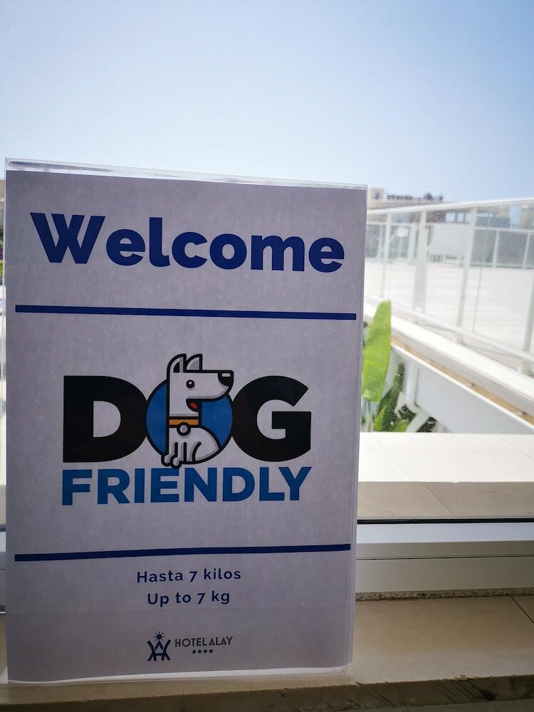 Фото Hotel Alay Puerto Marina - Adults Only Recommended