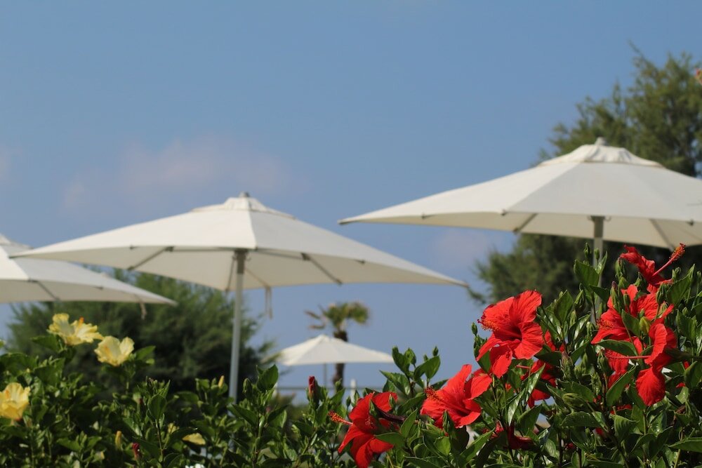 Фото Bv Kalafiorita Resort