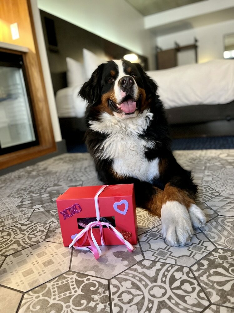 Фото The Maven Hotel at Dairy Block