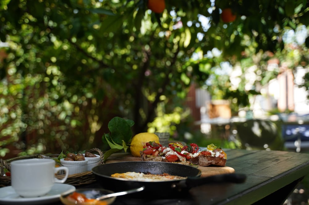 Фото Alterra Vita