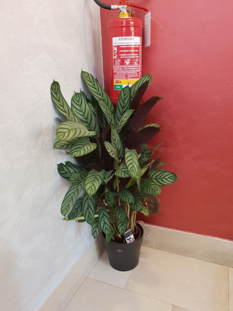 Фото Locanda Salieri