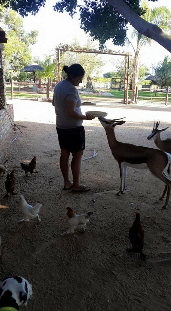 Фото Oasis Country Lodge