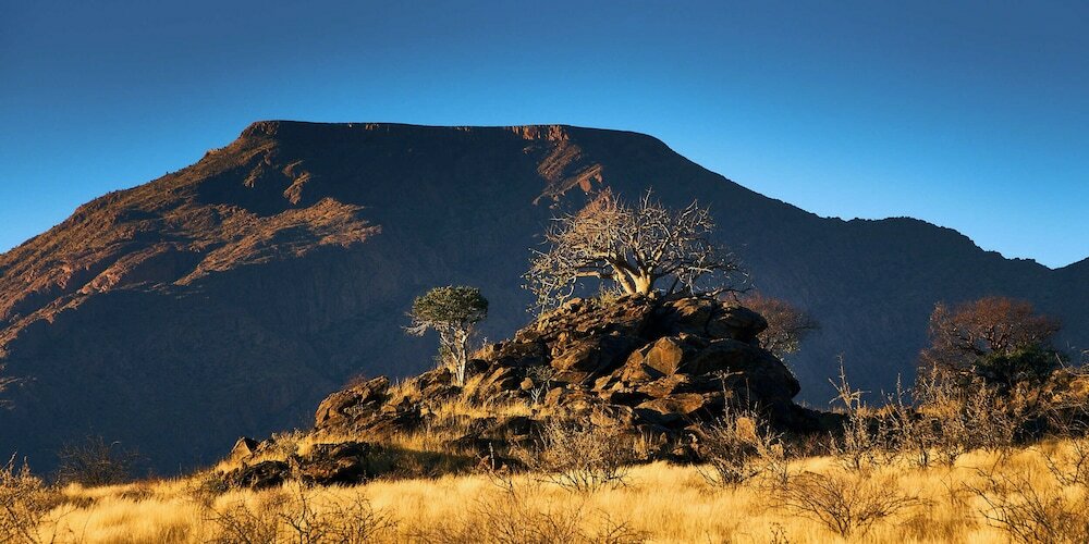 Фото Corona Guest Farm