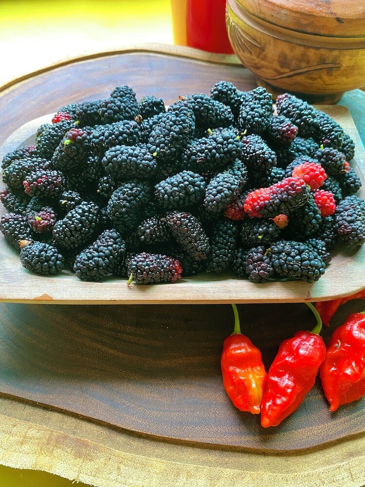 Фото Pousada Dolce Vita