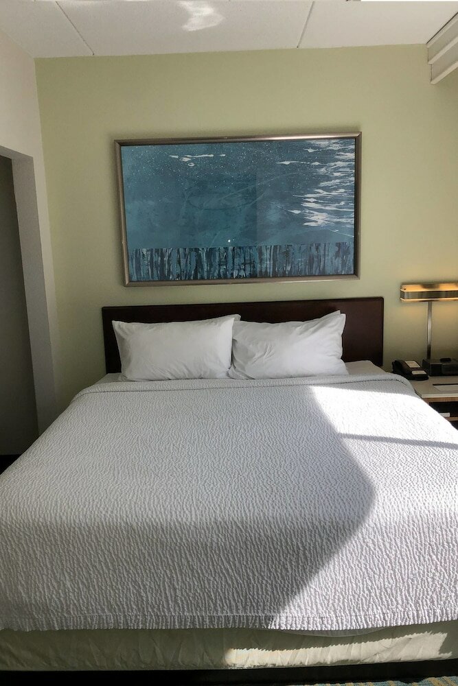 Фото SpringHill Suites by Marriott West Mifflin