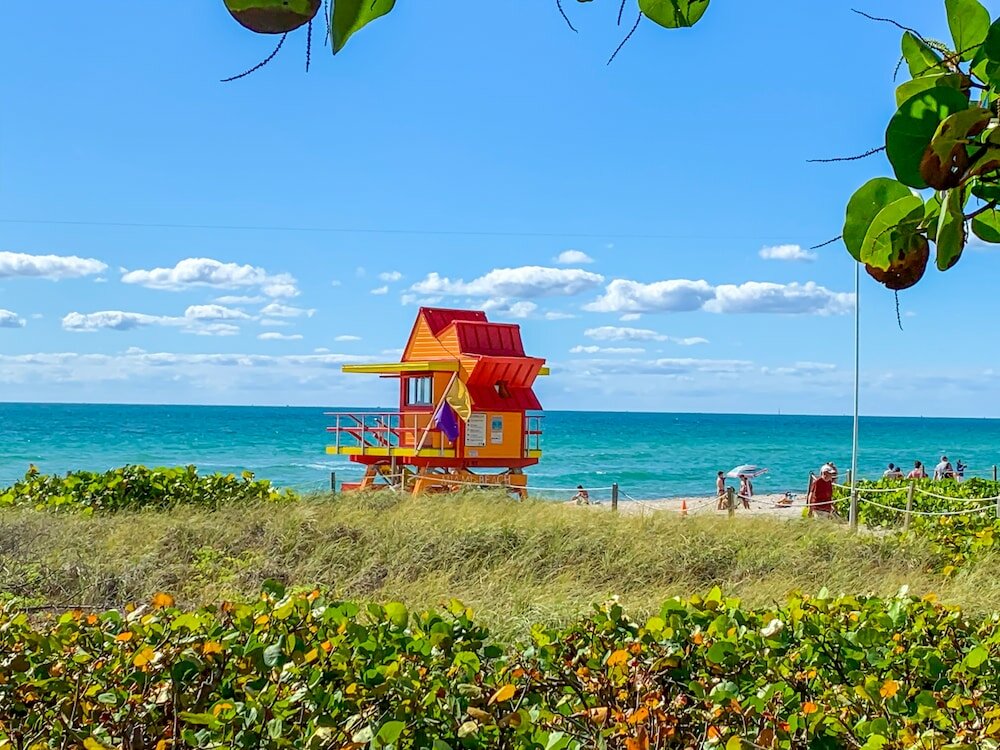 Фото Avalon Hotel