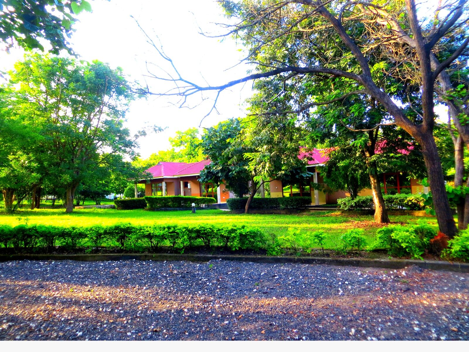 Фото Mikumi Resort Hotel