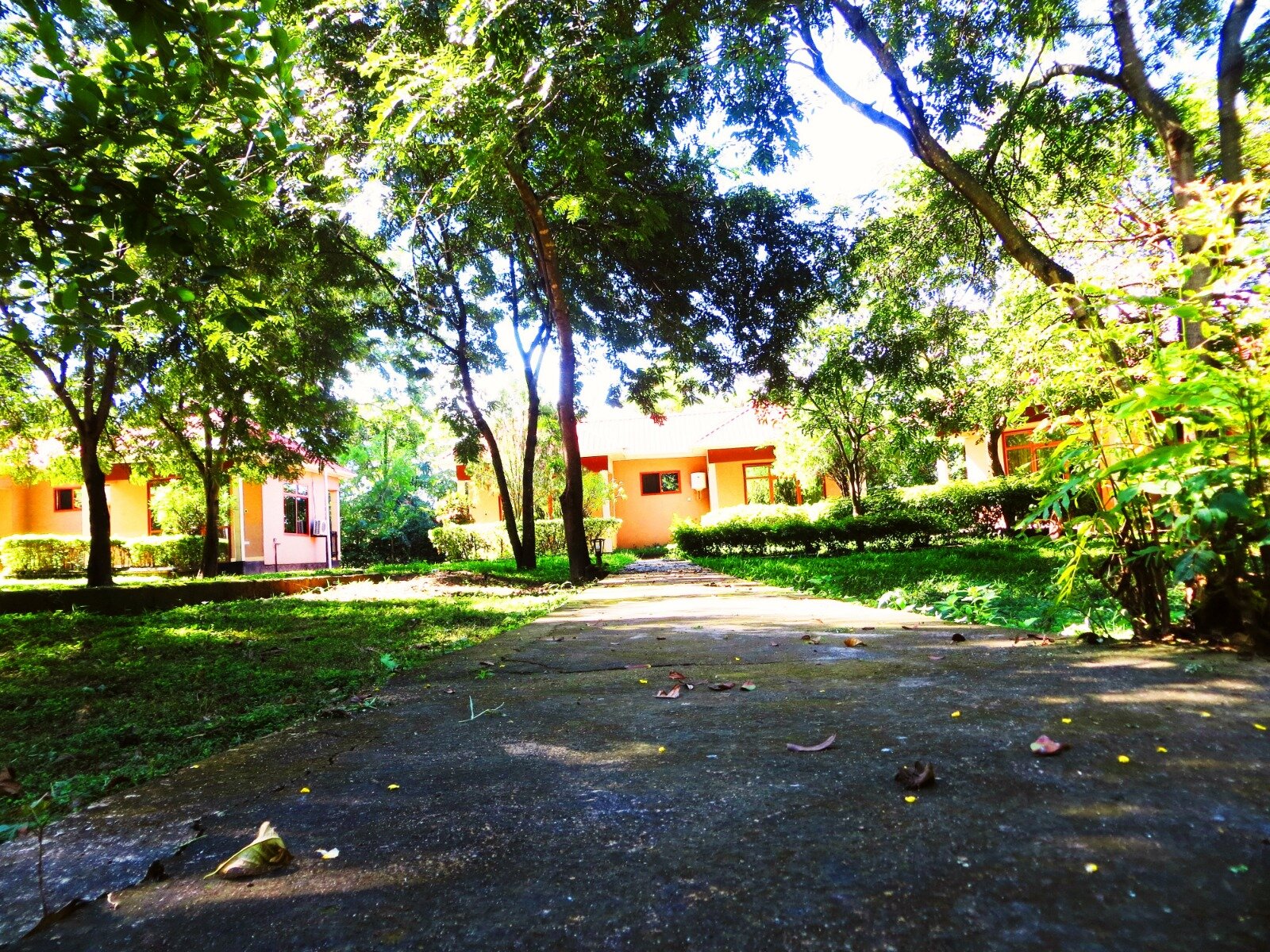 Фото отеля 5