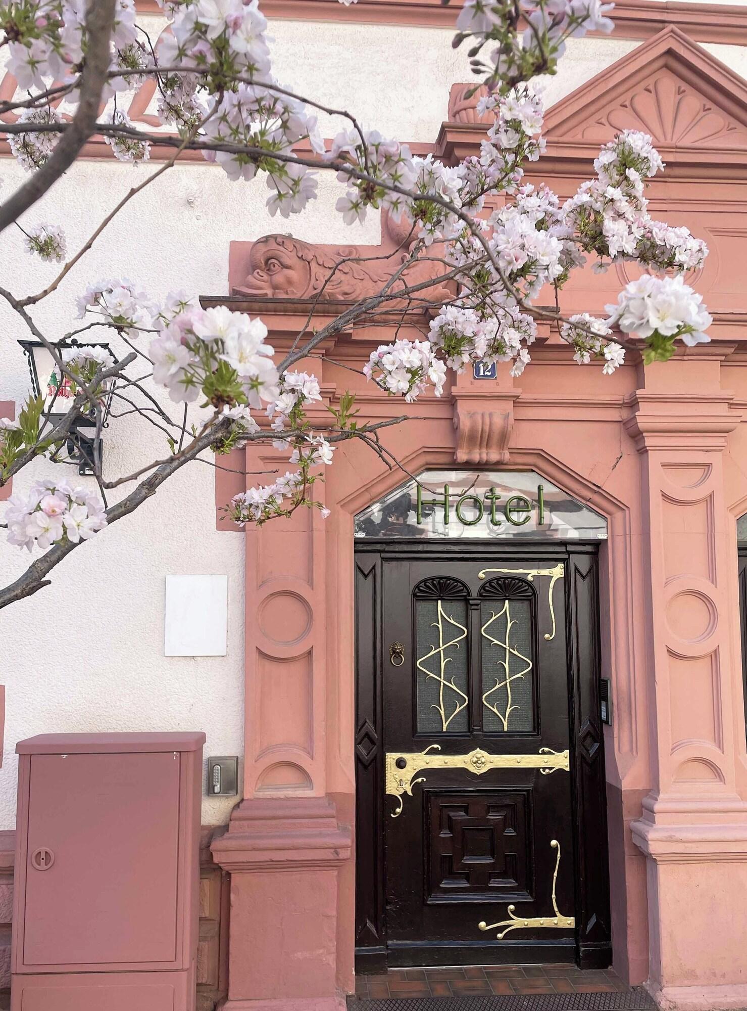 Фото Hotel Krokodil