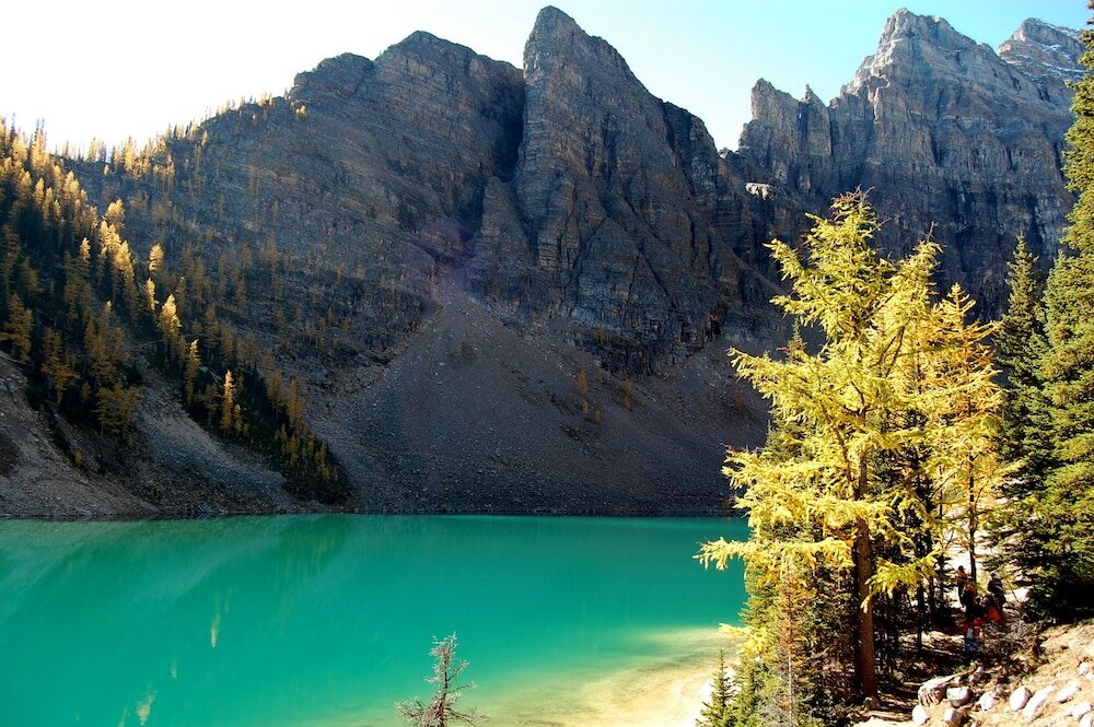 Фото Windtower Lodge and Suites