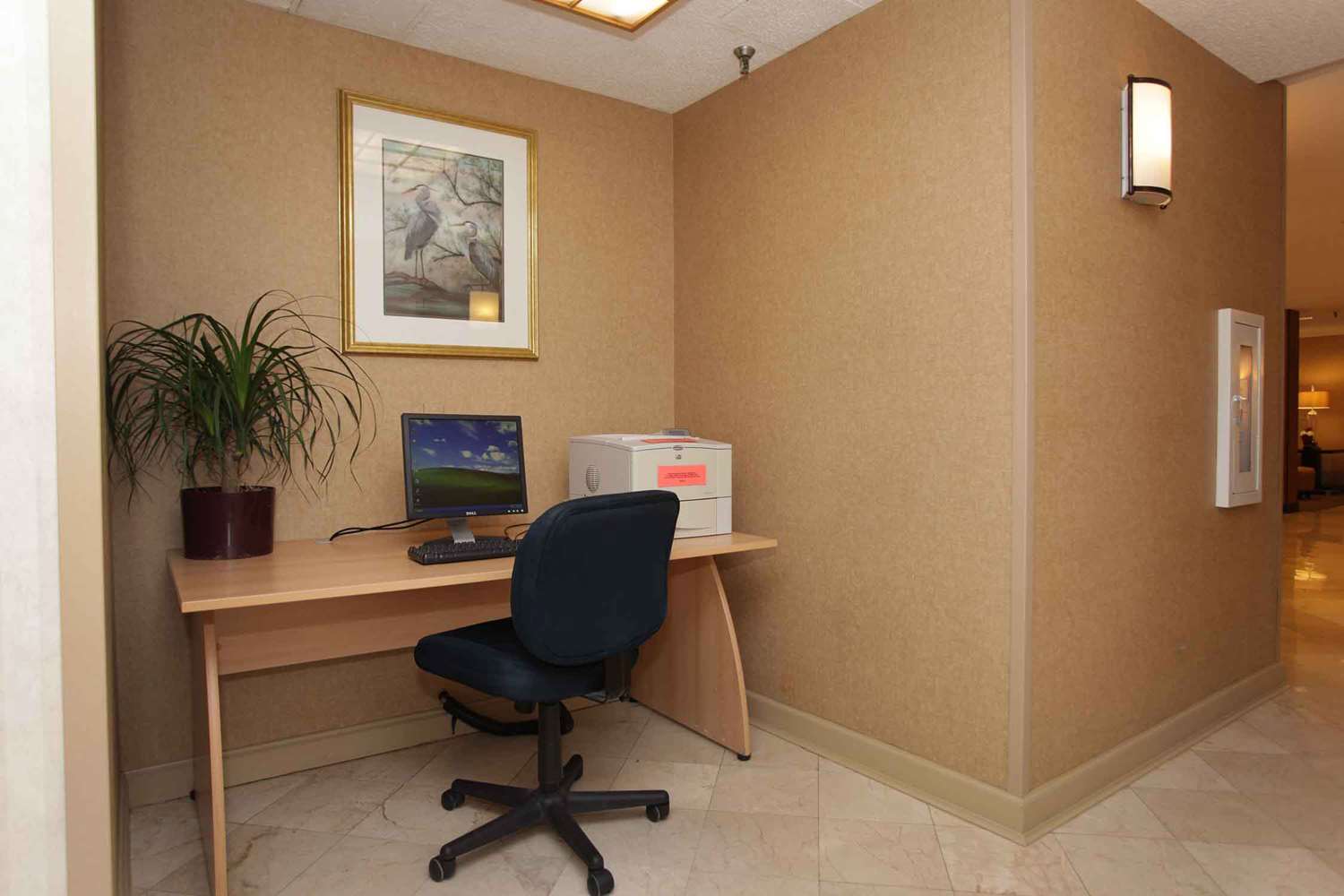 Фото Wyndham Garden Jacksonville