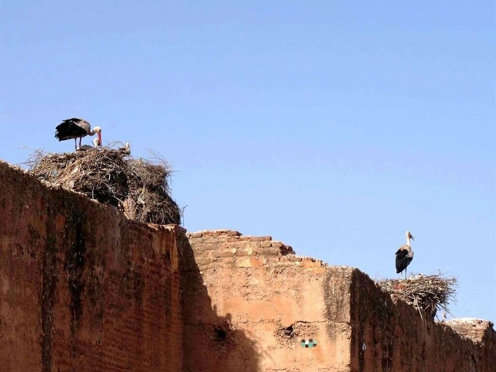 Фото Riad Turquoise