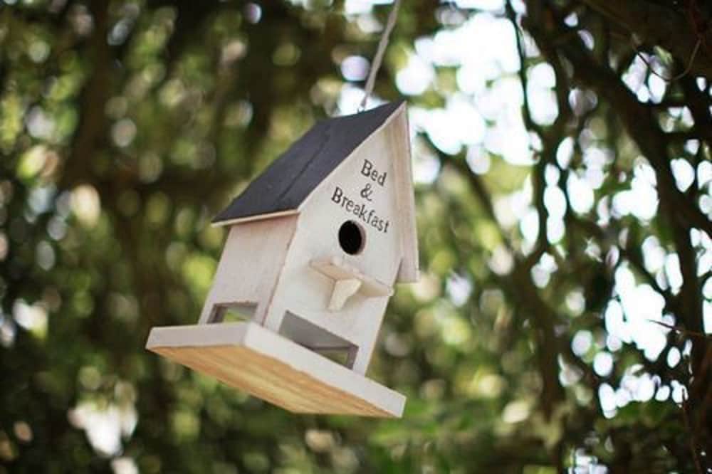 Фото Brindleys Boutique Bed & Breakfast