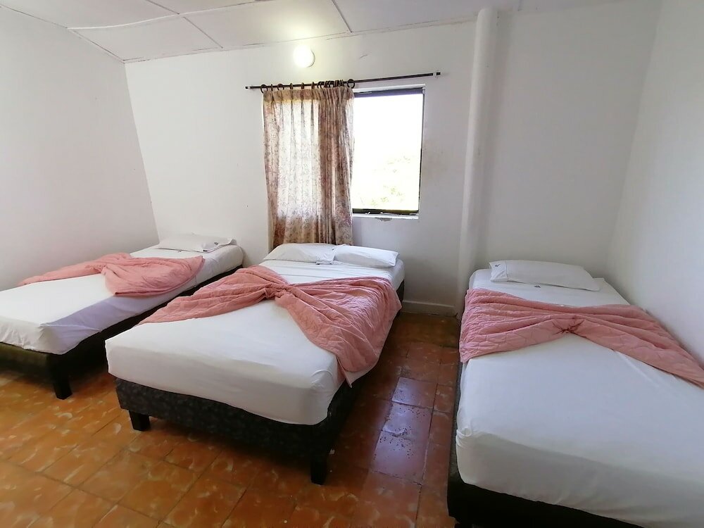 Фото Hotel Montecarlo