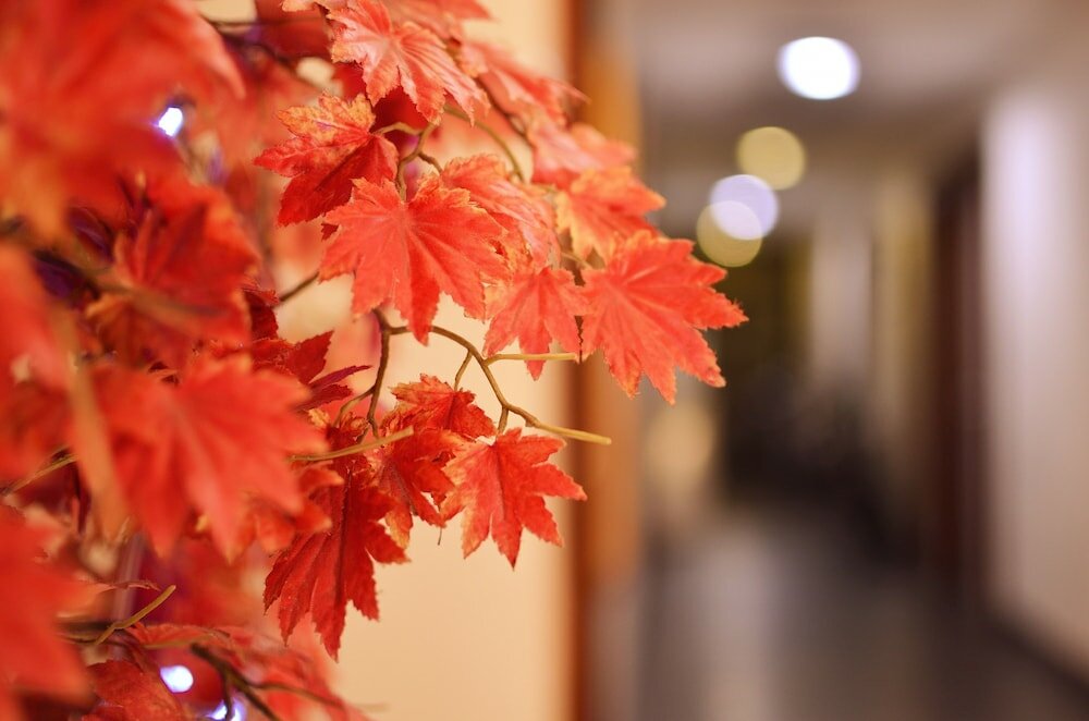 Фото King Town Hotel