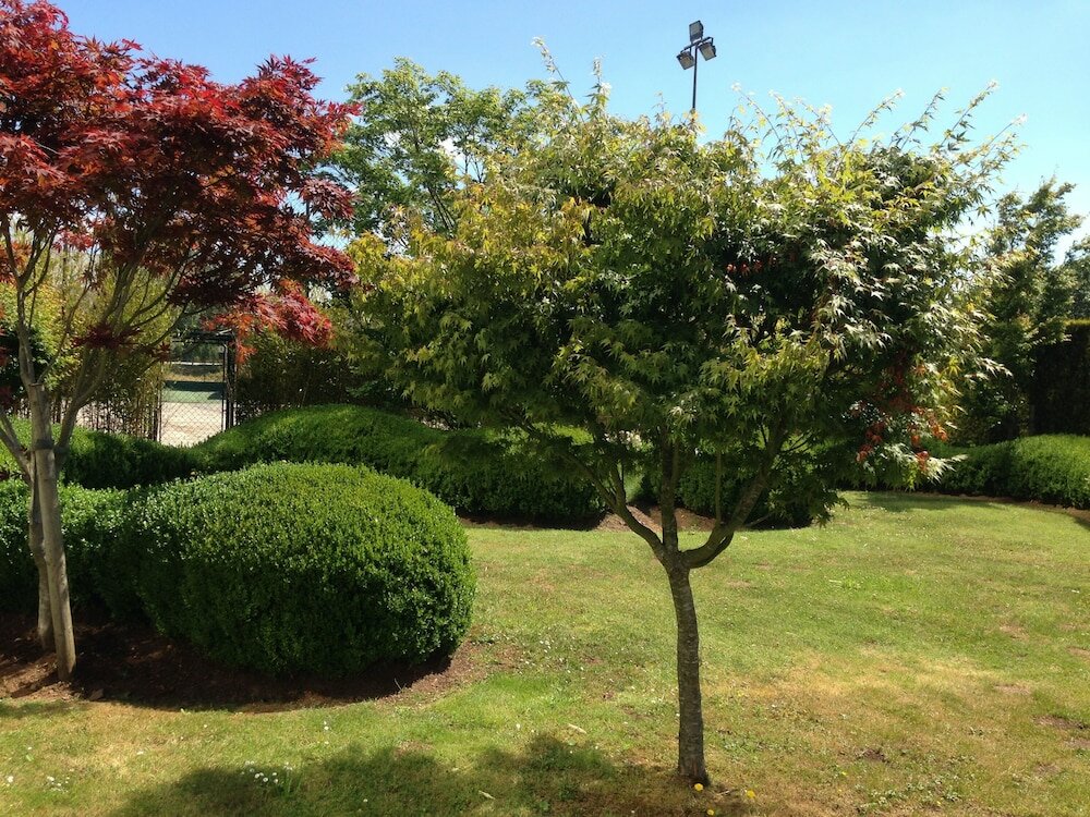 Фото Oca Puerta del Camino Hotel