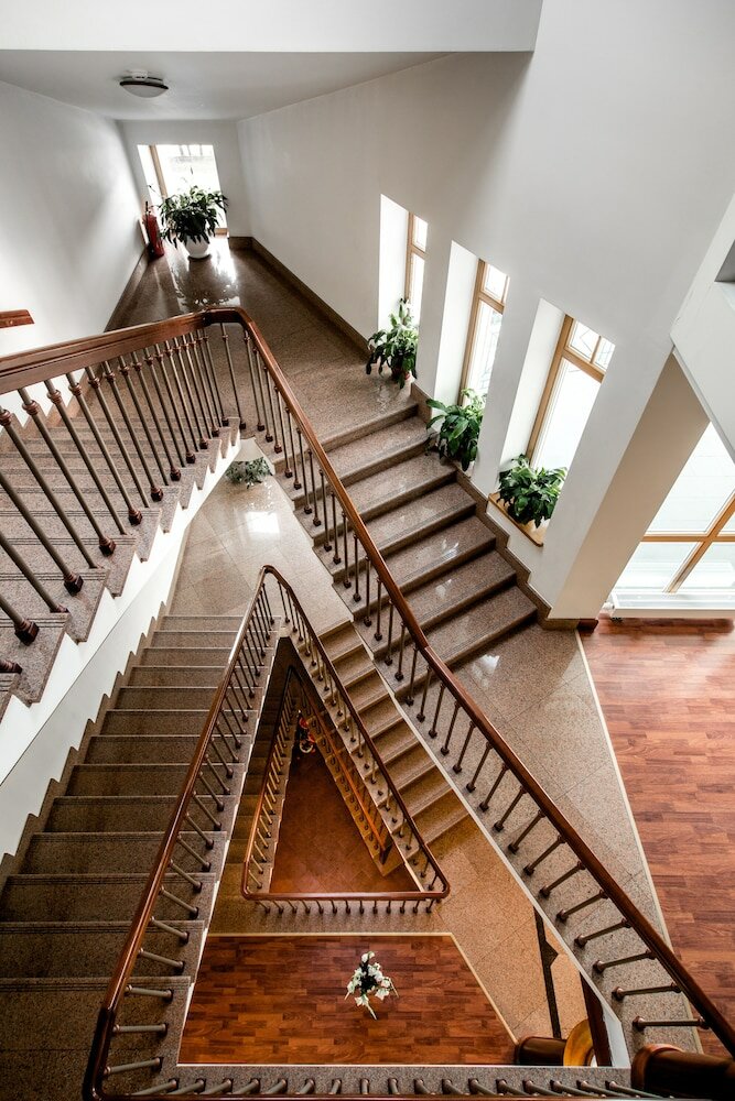 Фото Виолета