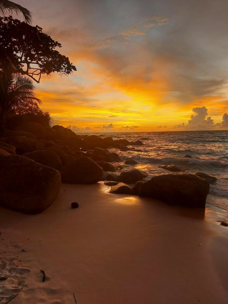 Фото The Mantra Hotel