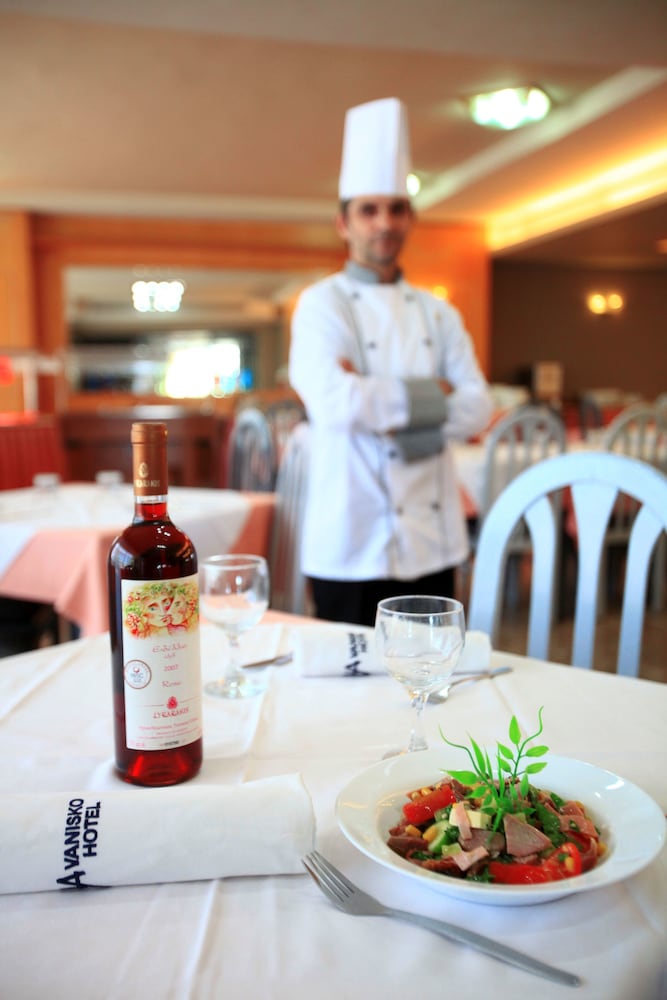 Фото Vanisko Hotel