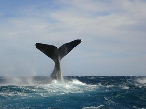 Гостиница Cheltum Hotel