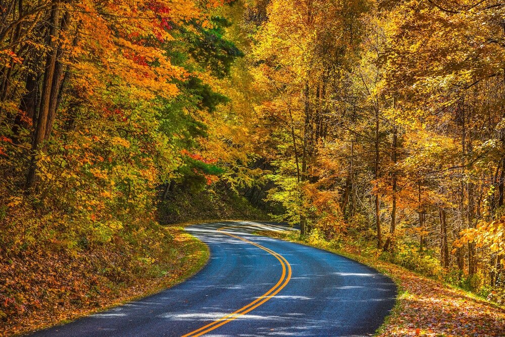 Фото Haywood Park Hotel, Ascend Hotel Collection