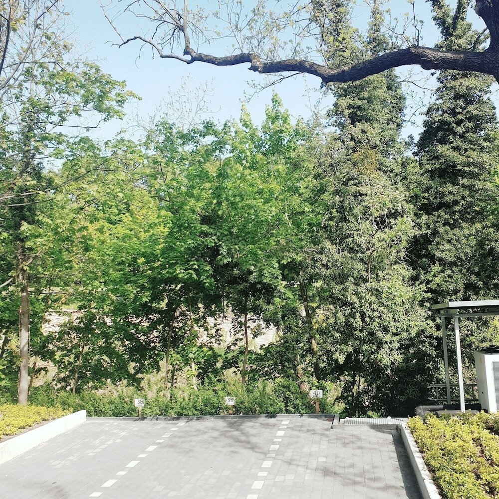 Фото Akzent Hotel Villa Saxer