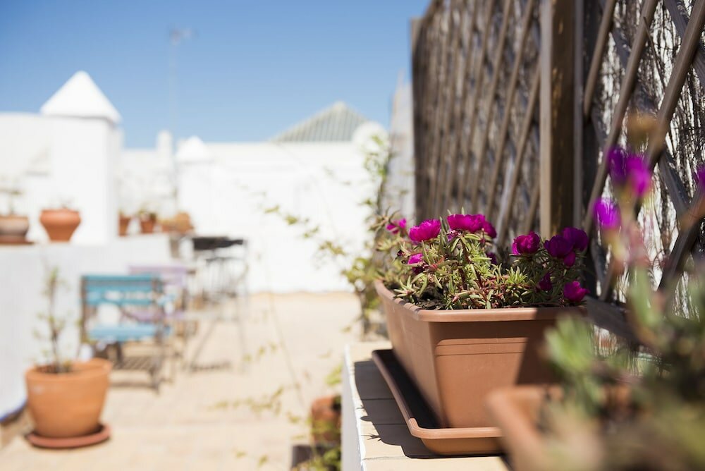 Фото 11391865512