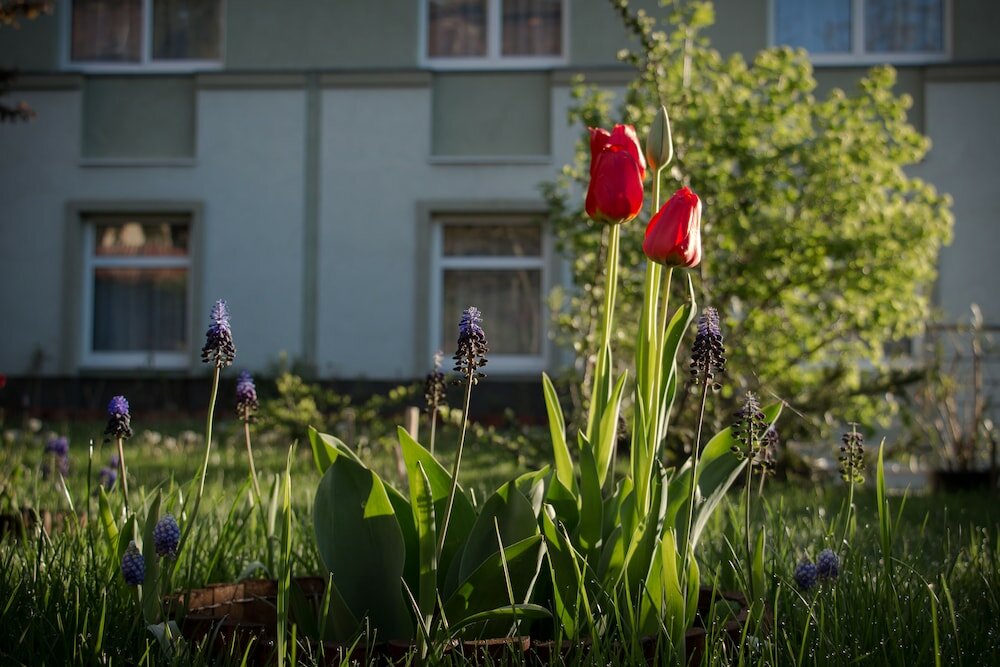 Фото Jagello Business Hotel