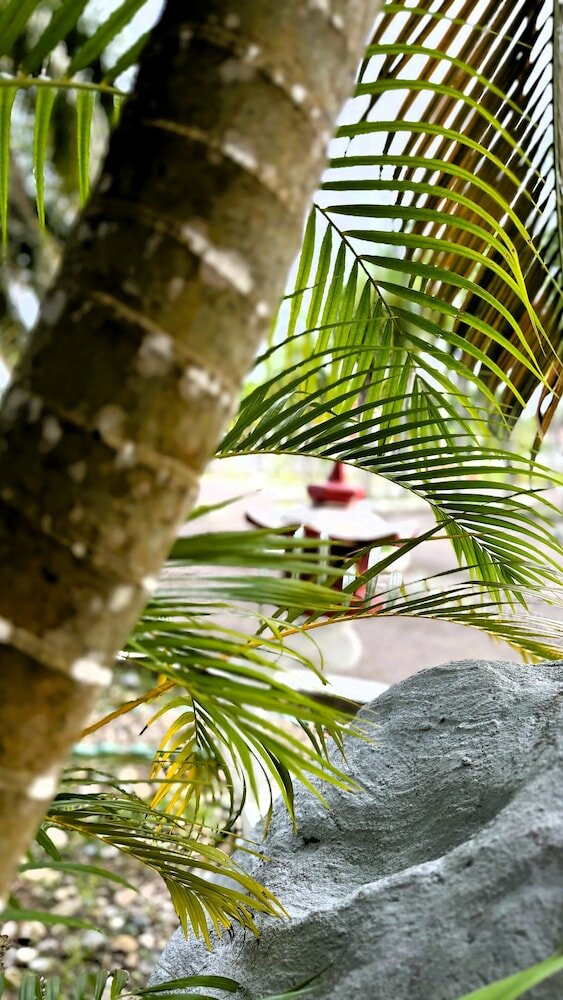 Фото Oyo 1236 Hotel Green Park