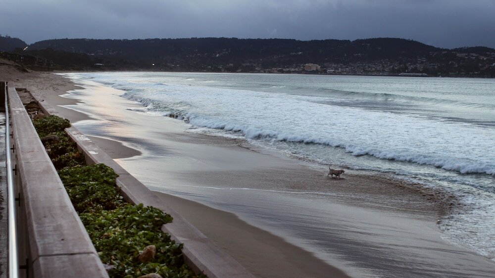 Фото Отель Monterey Beach