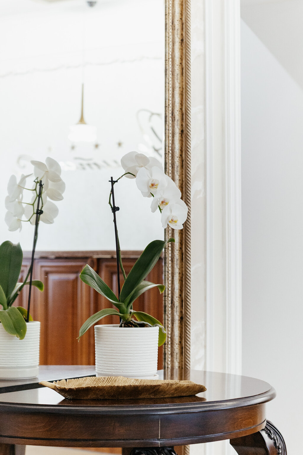 Фото Эрмитаж