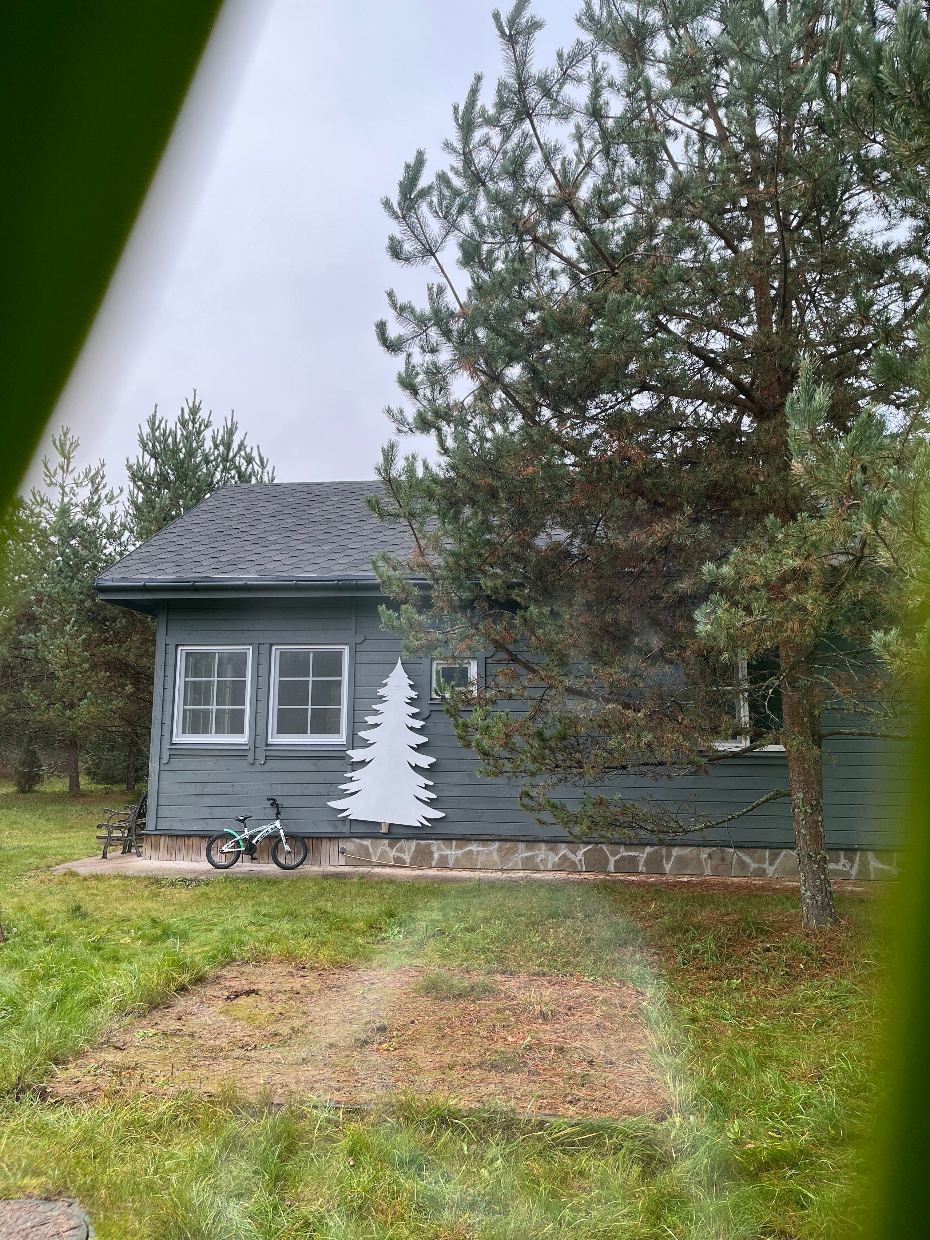 Фото Домики под соснами