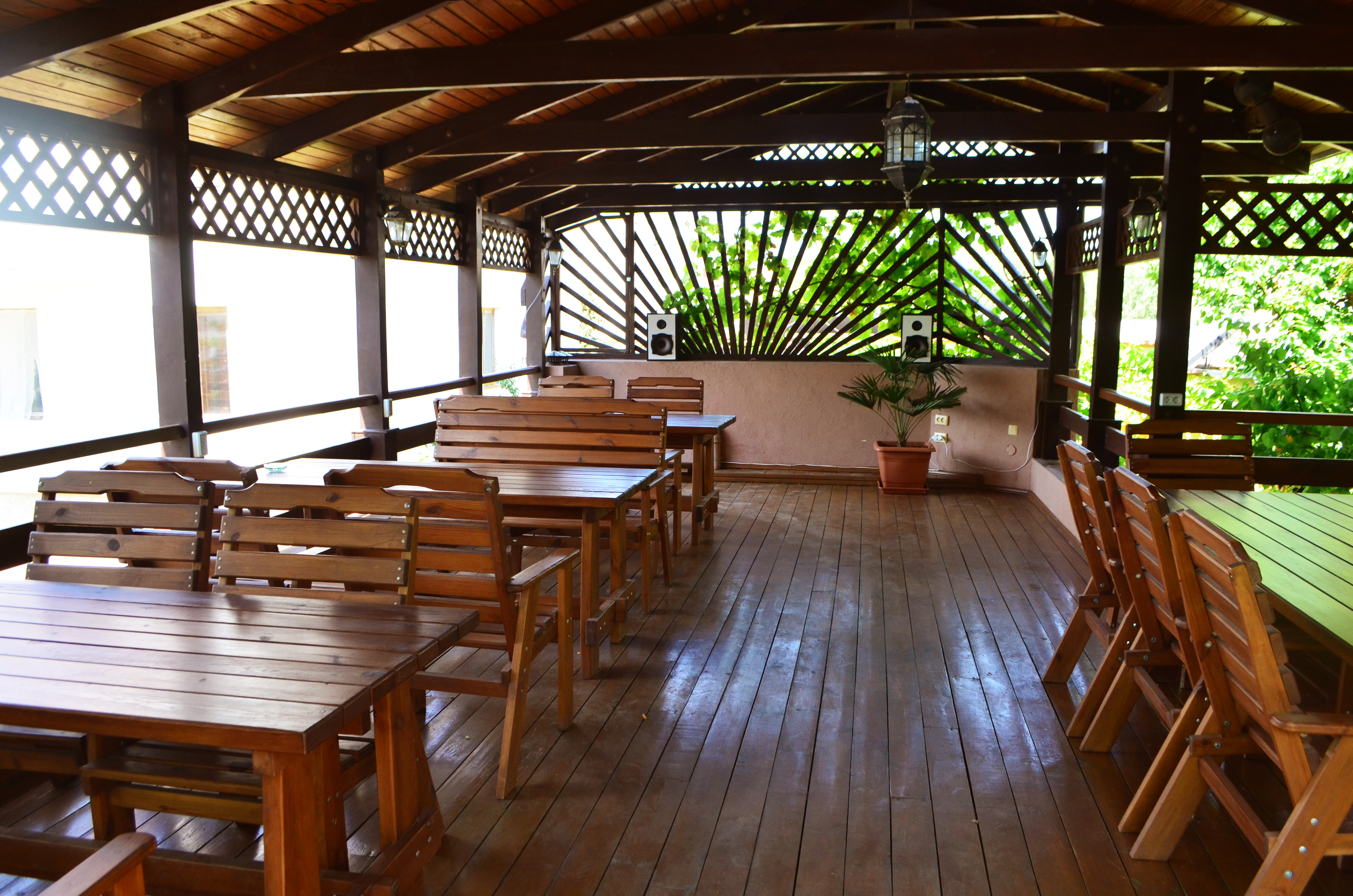 Фото Летний