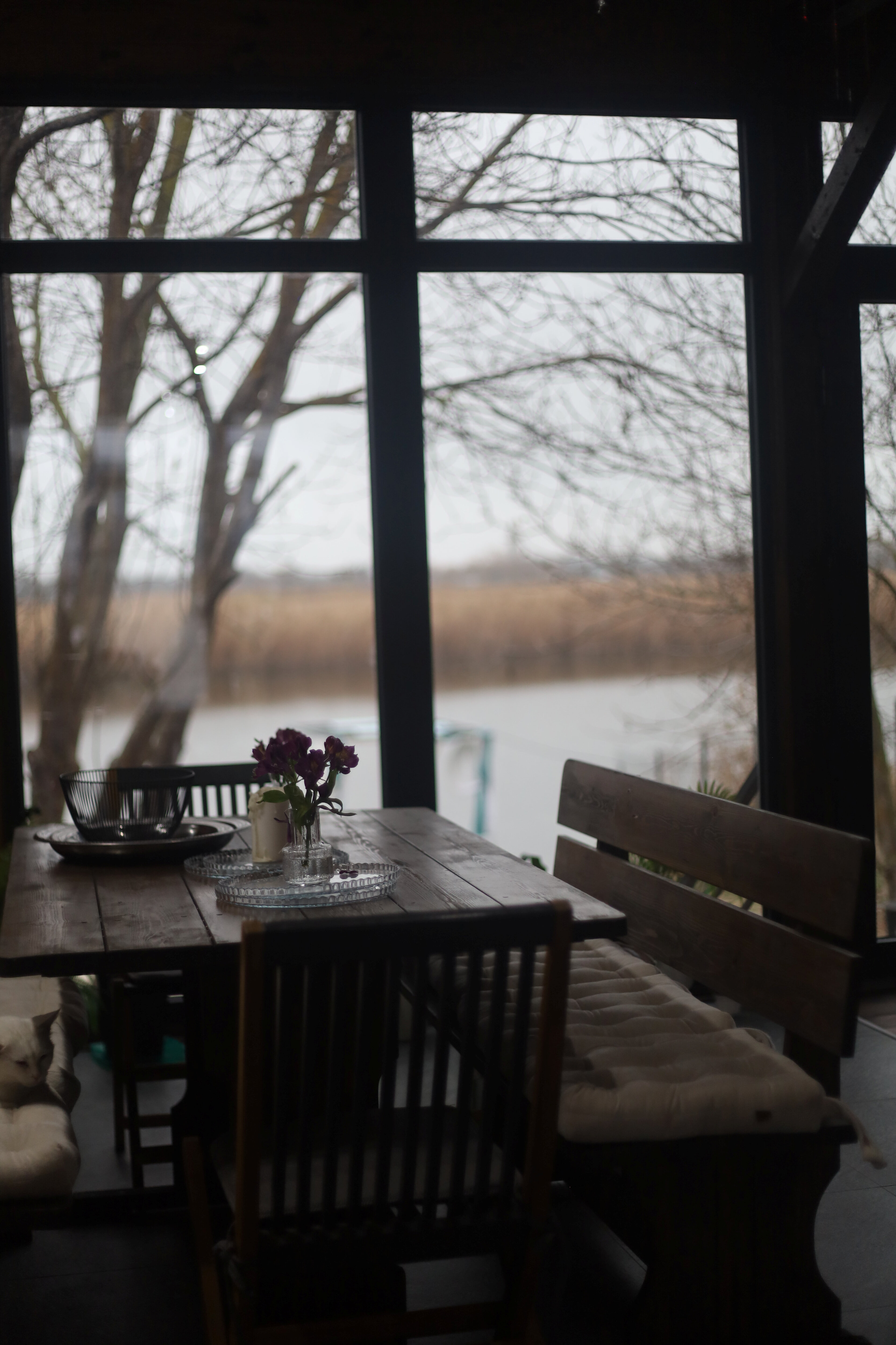 Фото Elephant Homd