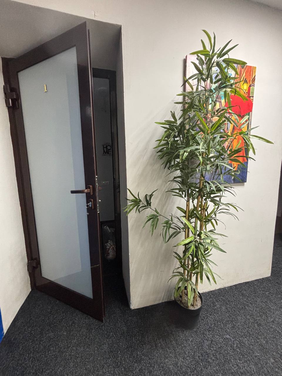 Фото Чемпион