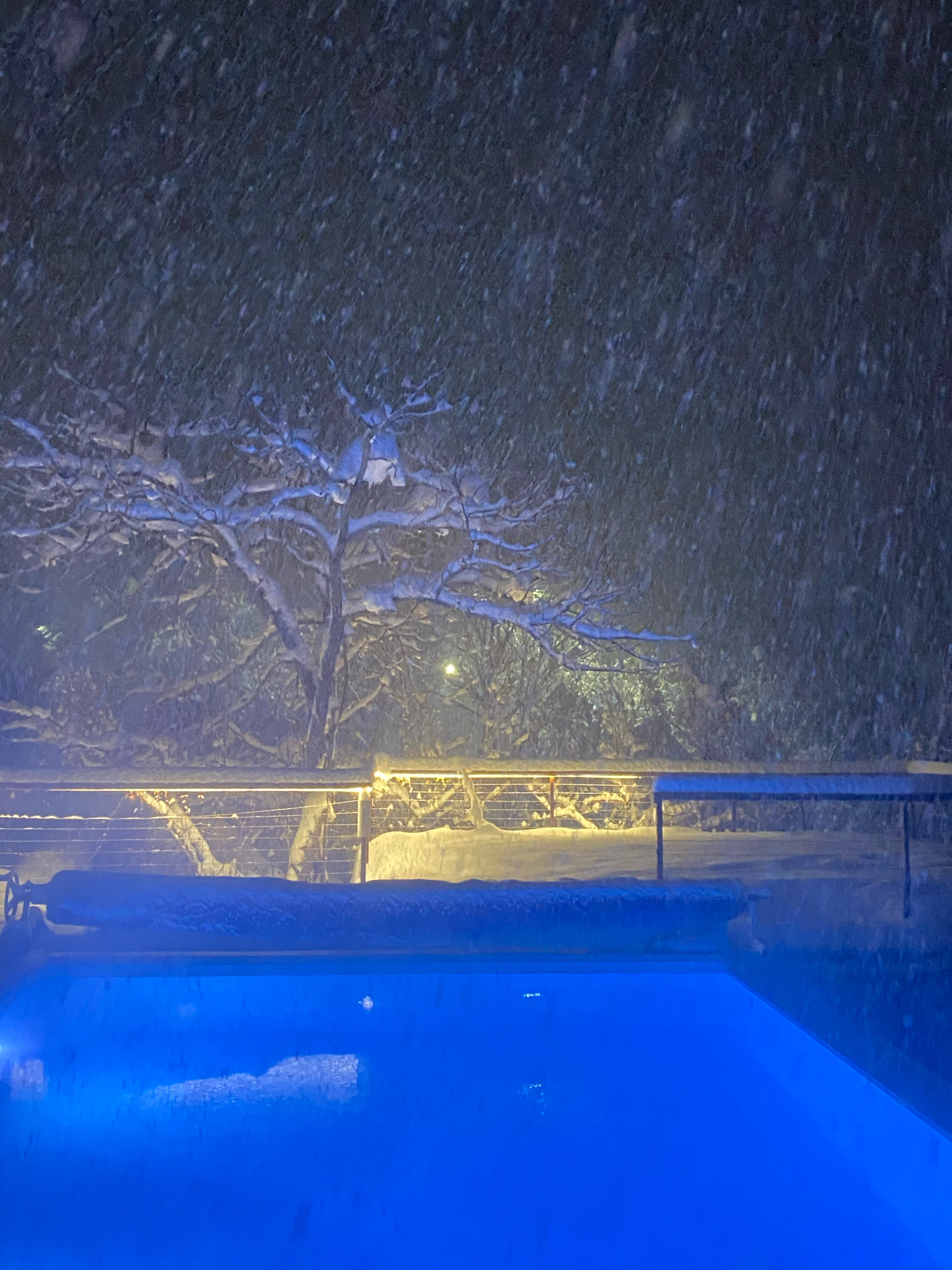 Фото Чаиръ сад в горах