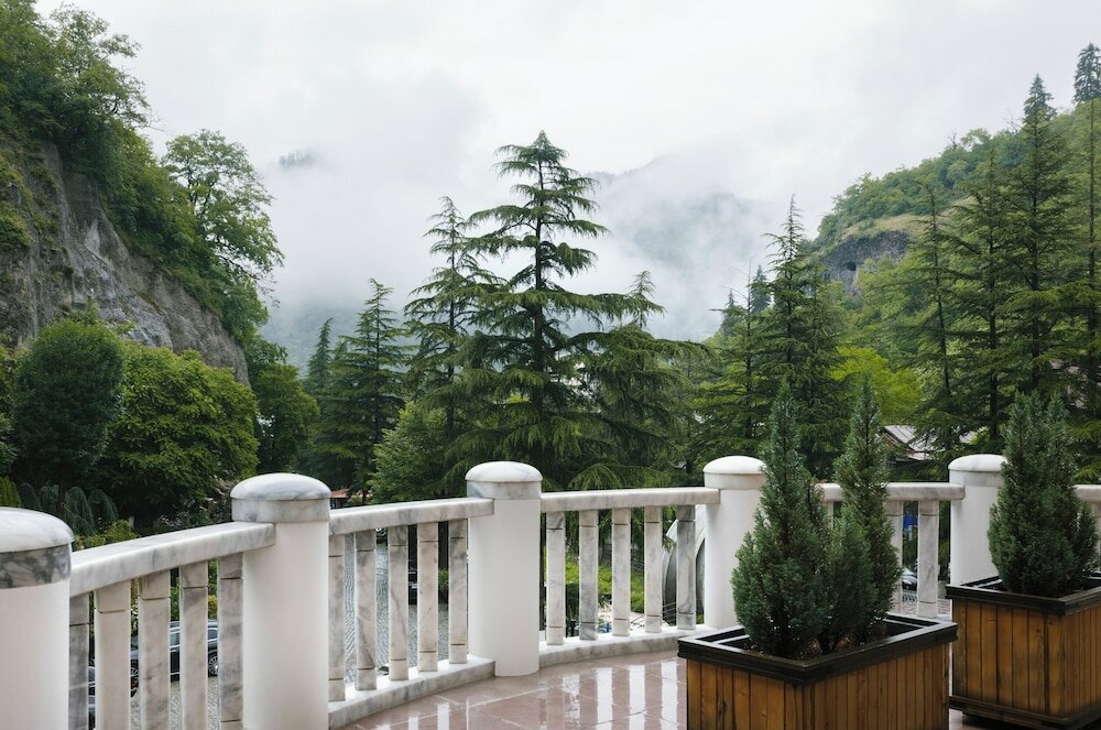 Фото Crowne Plaza Borjomi 