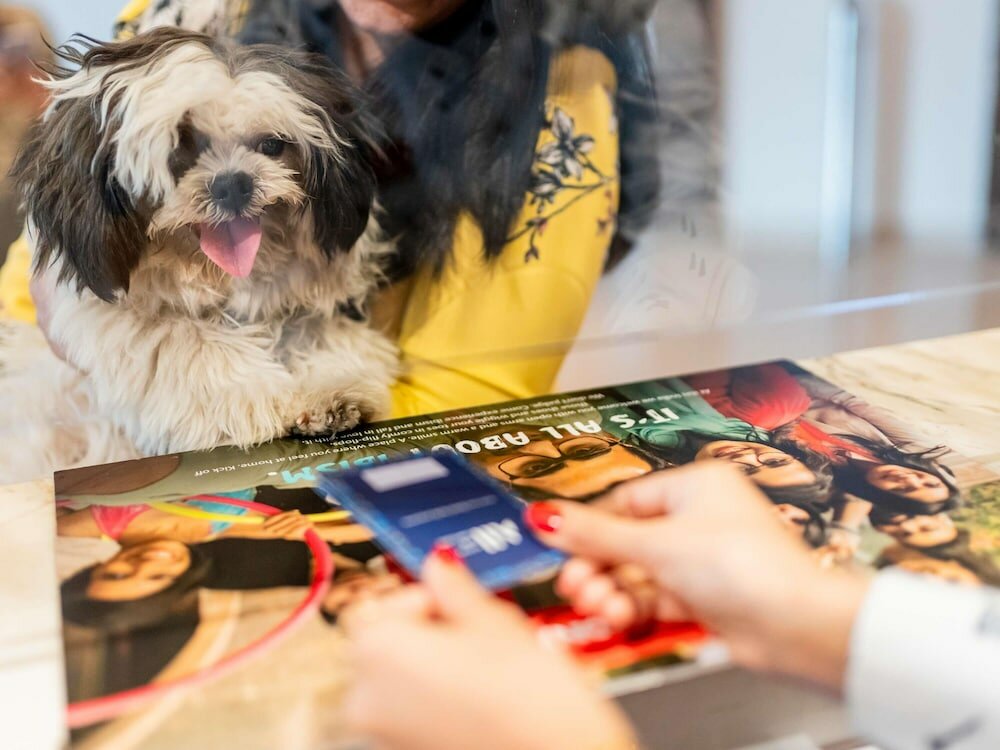 Фото ibis Regensburg City Hotel