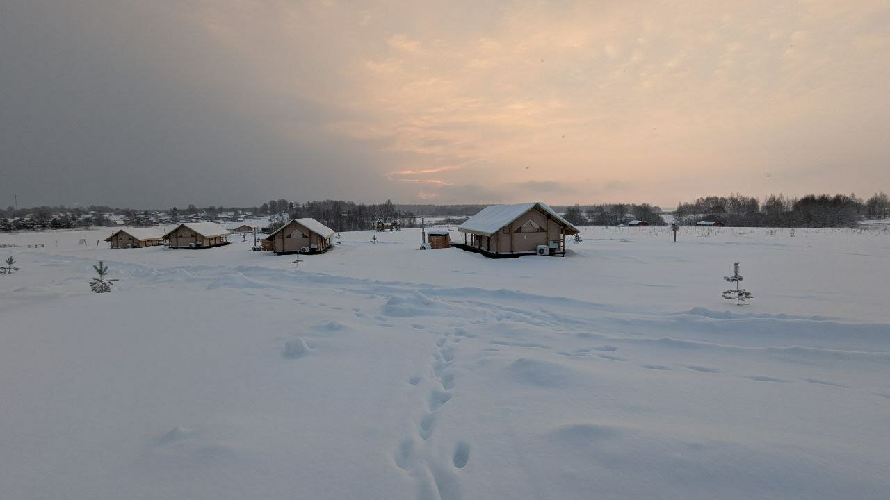 Фото Носороги