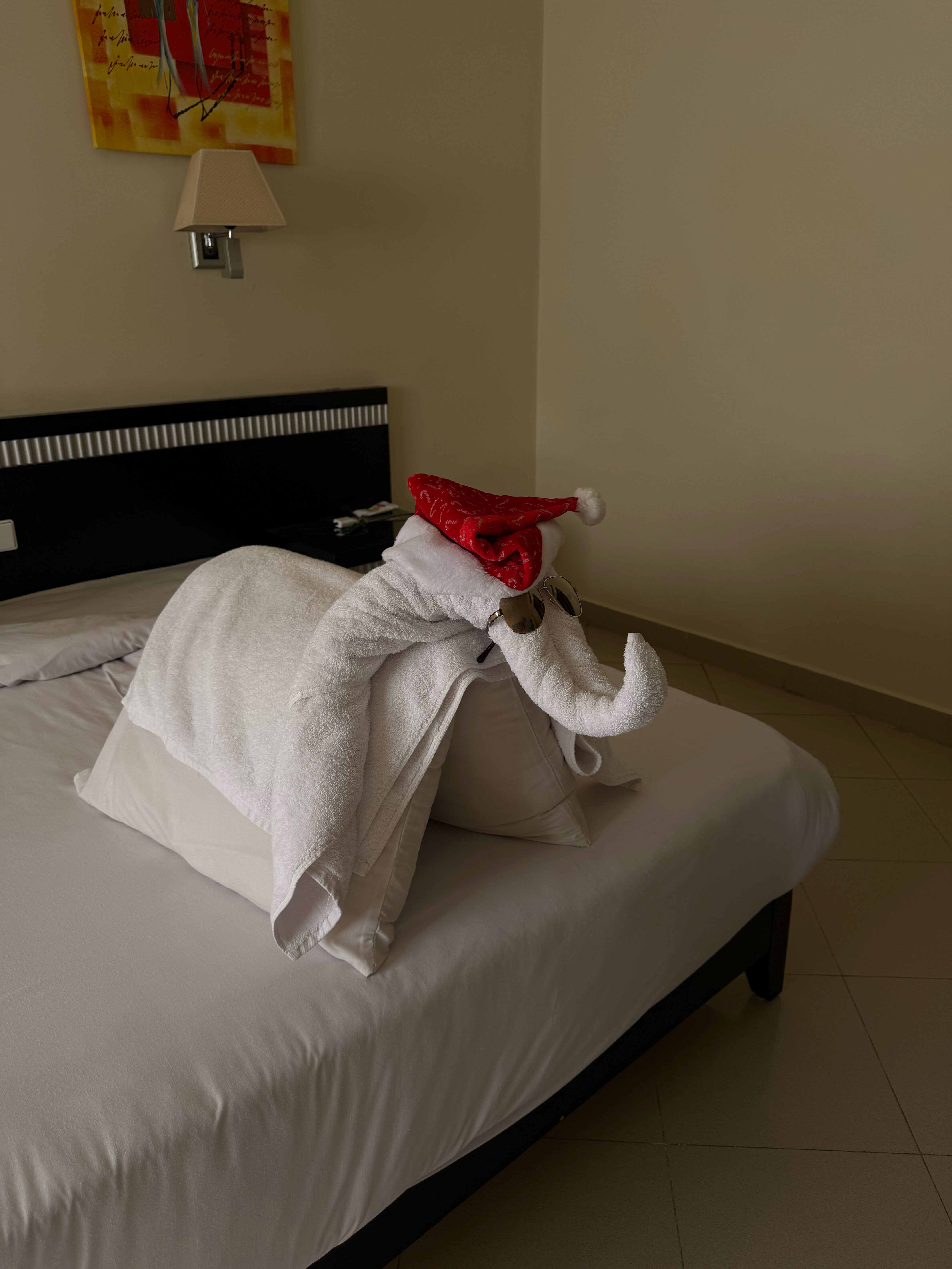 Фото Elysees Dream Beach Hotel